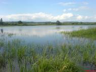 Бабин-Зарічний з panoramio.com