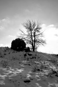 Тептіївка з panoramio.com