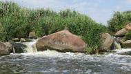 Токівське з panoramio.com