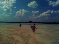 Лемешівка з panoramio.com