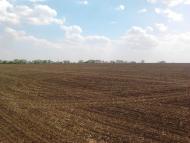 Васинівка - Останні фото