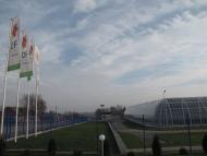 Синьків з panoramio.com