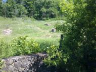 Вільшанка з panoramio.com