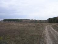 Глібівка з panoramio.com