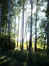 Перше Травня з panoramio.com