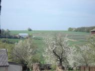 Сутківці з panoramio.com