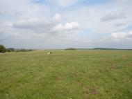 Перемисловичі з panoramio.com