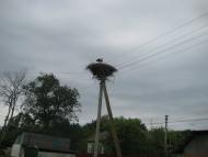 Поділ з panoramio.com