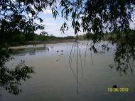 Запашка з panoramio.com