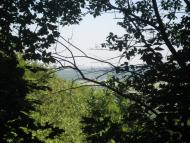 Товмачик з panoramio.com