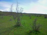 Приятне Свідання з panoramio.com