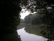 Піддубне з panoramio.com