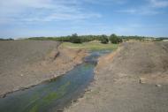 Кам'янка з panoramio.com
