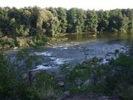 Нова Миколаївка - Останні фото