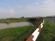 Ботар - Последние фото