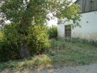 Весняна Квітка з panoramio.com