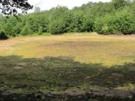 Старі Кути з panoramio.com