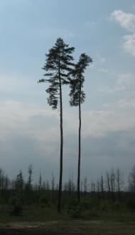 Климентове з panoramio.com