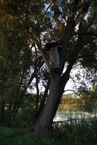 Великі Канівці з panoramio.com