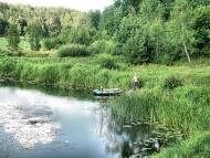 Струмок з panoramio.com