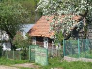 Синяк з panoramio.com