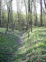 Шкарівка з panoramio.com - Шкарівка