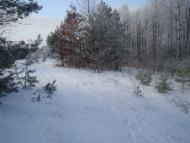 Полапи з panoramio.com