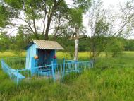 Березина з panoramio.com