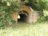 Рози Люксенбург з panoramio.com