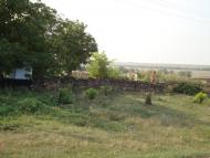 Весняна Квітка з panoramio.com