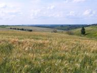 Перше Травня з panoramio.com