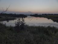 Мала Білозерка з panoramio.com