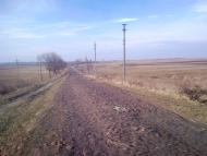 Рогізне з panoramio.com