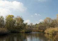 Розумівка з panoramio.com