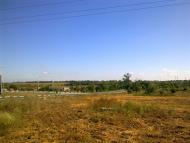 Музиківка з panoramio.com