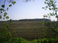 Шкарівка з panoramio.com - Шкарівка