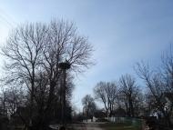 Сутківці з panoramio.com