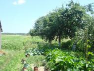 Куликовичі з panoramio.com