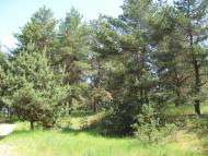 Розумівка з panoramio.com