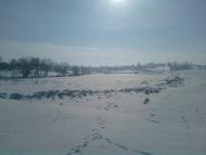 Пилява з panoramio.com