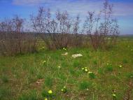 Приятне Свідання з panoramio.com