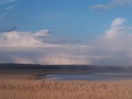 Бригадирівка - Останні фото