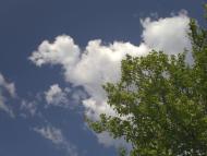 Отрадово - Последние фото