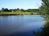 Мала Помічна з panoramio.com