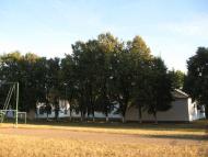 Рідкодуби з panoramio.com
