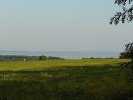 Максимівка з panoramio.com