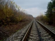 Вільхівчик з panoramio.com