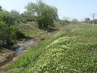 Рівне з panoramio.com