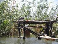 Жовнине з panoramio.com