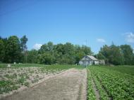 Улянівка з panoramio.com